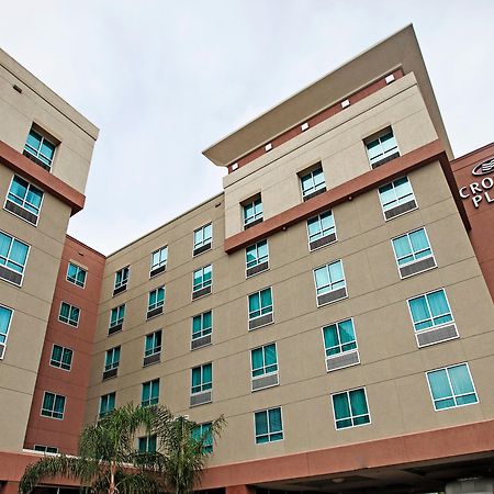 Crowne Plaza Houston Galleria Area By Ihg Dış mekan fotoğraf